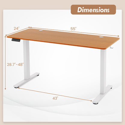 55 x 24 Inches Sit Stand Home Office Desk with 3 Memory Height Settings-Natural - Color: Natural